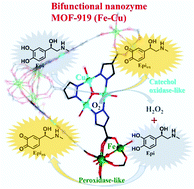 Graphical abstract: The bi-metallic MOF-919 (Fe–Cu) nanozyme capable of bifunctional enzyme-mimicking catalytic activity