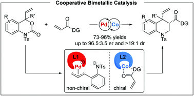 Graphical abstract: A cooperative Pd/Co catalysis system for the asymmetric (4+2) cycloaddition of vinyl benzoxazinones with N-acylpyrazoles