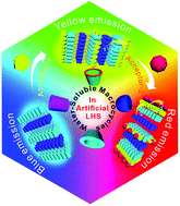 Graphical abstract: Artificial light-harvesting systems based on macrocycle-assisted supramolecular assembly in aqueous media