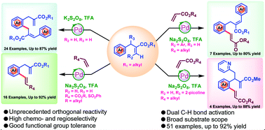 Graphical abstract: Ester-directed orthogonal dual C–H activation and ortho aryl C–H alkenylation via distal weak coordination