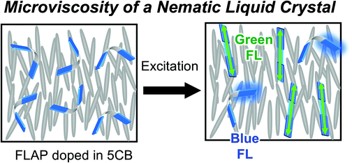 Graphical abstract: Probing a microviscosity change at the nematic–isotropic liquid crystal phase transition by a ratiometric flapping fluorophore