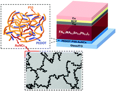 Graphical abstract: Plasmon-coupled Au-nanochain functionalized PEDOT:PSS for efficient mixed tin–lead iodide perovskite solar cells