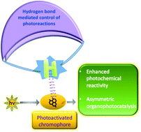 Graphical abstract: Manipulating excited state reactivity and selectivity through hydrogen bonding – from solid state reactivity to Brønsted acid photocatalysis