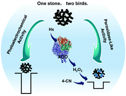 Graphical abstract: AgCu@CuO aerogels with peroxidase-like activities and photoelectric responses for sensitive biosensing