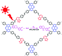 Graphical abstract: A covalent organic framework as a photocatalyst for window ledge cross-dehydrogenative coupling reactions
