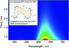 Graphical abstract: An aqueous room-temperature phosphorescent probe for Gd3+
