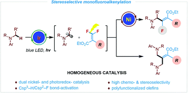 Graphical abstract: Csp3–H monofluoroalkenylation via stereoselective C–F bond cleavage