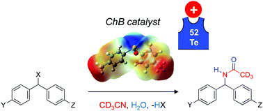 Graphical abstract: Dicationic oligotelluroxane or mononuclear telluronium cation? Elucidation of the true catalytic species and activation mechanism of the benzylic carbon-halogen bond