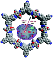 Graphical abstract: A CuS- and BODIPY-loaded nanoscale covalent organic framework for synergetic photodynamic and photothermal therapy