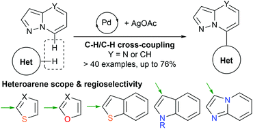 Graphical abstract: Palladium-catalyzed oxidative C–H/C–H cross-coupling of pyrazolo[1,5-a]azines with five-membered heteroarenes