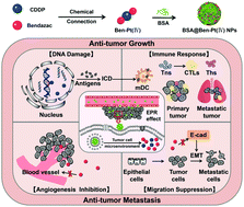 Graphical abstract: Engineering a multi-target therapy nanoplatform against tumor growth and metastasis via a novel NSAID-Pt(iv) prodrug