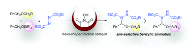 Graphical abstract: Selective functionalization of benzylic C–H bonds of two different benzylic ethers by bowl-shaped N-hydroxyimide derivatives as efficient organoradical catalysts