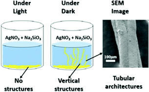 Graphical abstract: Dark-induced vertical growth of chemobrionic architectures in silver-based precipitating chemical gardens