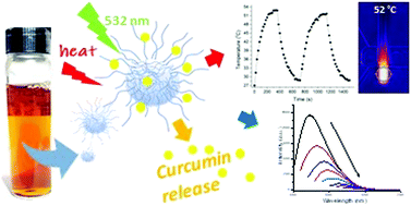 Graphical abstract: A novel facile one-pot synthesis of photothermally responsive carbon polymer dots as promising drug nanocarriers