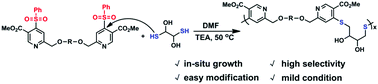 Graphical abstract: Synthesis and modification of polymers by thiol-phenylsulfone substitution reaction