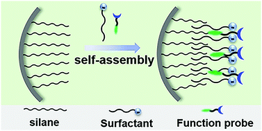 Graphical abstract: Rational design of a self-assembled surfactant film in nanopipettes: combined fluorescence and electrochemical sensing