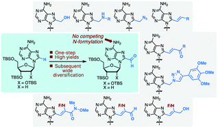 Graphical abstract: Diversely C8-functionalized adenine nucleosides via their underexplored carboxaldehydes