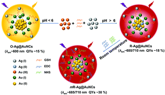 Graphical abstract: Rapid preparation of water-soluble Ag@Au nanoclusters with bright deep-red emission