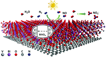 Graphical abstract: Visible-light-driven photocatalytic N2 fixation to nitrates by 2D/2D ultrathin BiVO4 nanosheet/rGO nanocomposites