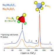 Graphical abstract: An unusual O2−/F− distribution in the new pyrochlore oxyfluorides: Na2B2O5F2 (B = Nb, Ta)