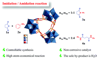 Graphical abstract: Two novel telluroniobates with efficient catalytic activity for the imidation/amidation reaction