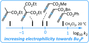 Graphical abstract: Reactivities of allenic and olefinic Michael acceptors towards phosphines