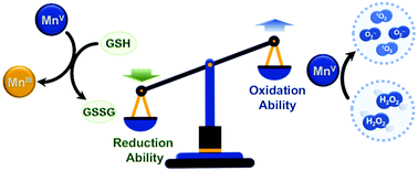 Graphical abstract: Stable high-oxidation-state complex in situ Mn(v)–Mn(iii) transition to achieve highly efficient cervical cancer therapy