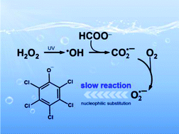 Graphical abstract: New insight to superoxide radical-mediated degradation of pentachlorophenate: Kinetic determination and theoretical calculations