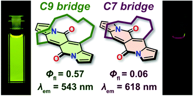 Graphical abstract: Tuning the aromatic backbone twist in dipyrrolonaphthyridinediones