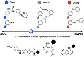 Graphical abstract: Conformation-tunable ATP-competitive kinase inhibitors