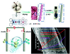 Graphical abstract: Nitrogen-doped biomass carbon fibers with surface encapsulated Co nanoparticles for electrocatalytic overall water-splitting