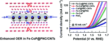 Graphical abstract: Porous N-doped carbon with confined Fe-doped CoP grown on CNTs for superefficient oxygen evolution electrocatalysis