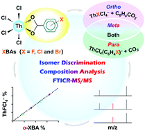 Graphical abstract: Discrimination and quantitation of halobenzoic acid positional isomers upon Th(iv) coordination by mass spectrometry