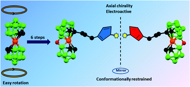 Graphical abstract: Structurally rigidified cobalt bis(dicarbollide) derivatives, a chiral platform for labelling of biomolecules and new materials