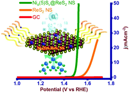 Graphical abstract: Concerted effect of Ni-in and S-out on ReS2 nanostructures towards high-efficiency oxygen evolution reaction