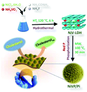 Graphical abstract: A novel NiVP/Pi-based flexible sensor for direct electrochemical ultrasensitive detection of cholesterol