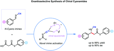 Graphical abstract: Enantioselective reaction of N-cyano imines: decarboxylative Mannich-type reaction with malonic acid half thioesters