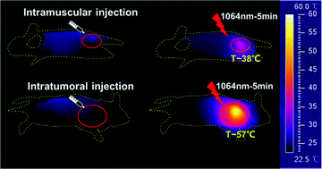 Graphical abstract: Tumor microenvironment activated nanoenzyme-based agents for enhanced MRI-guided photothermal therapy in the NIR-II window