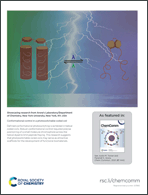 Graphical abstract: Inside back cover