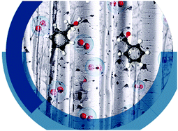 Graphical abstract: Highlights from Faraday Discussion: Reaction mechanisms in catalysis, UK, 17th–19th February 2021 (online)