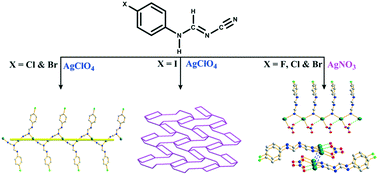 Graphical abstract: Silver(i) coordination polymers based on halogenated cyanoformamidine: roles of oxyanions and halogen atoms in the structural diversity