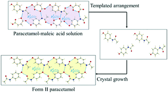 Graphical abstract: Selective formation of form II paracetamol through the assistance of paracetamol co-crystals as templates in a solution