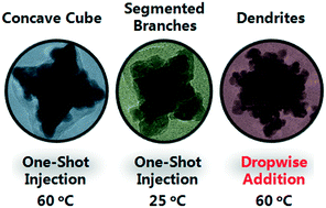 Graphical abstract: Enriching the branching of Au@PdAu core–shell nanocrystals using a syringe pump: kinetics control meets lattice mismatch