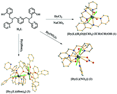 Graphical abstract: Ligand field and anion-driven structures and magnetic properties of dysprosium complexes