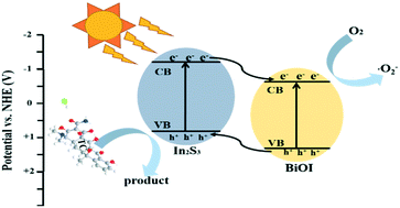 Graphical abstract: In2S3/BiOI composites boost visible-light photocatalytic degradation of tetracycline hydrochloride