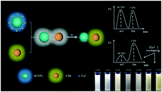 Graphical abstract: A dual-emission ratiometric fluorescent nanoprobe based on silicon nanoparticles and carbon dots for efficient detection of Cu(ii)