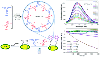 Graphical abstract: A new hydrazone-linked covalent organic framework for Fe(iii) detection by fluorescence and QCM technologies