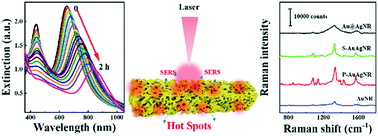 Graphical abstract: Synthesis of porous Au–Ag alloy nanorods with tunable plasmonic properties and intrinsic hotspots for surface-enhanced Raman scattering