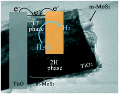 Graphical abstract: Ultrathin 1T/2H mixed phase MoS2 decorated TiO2 nanorod arrays for effective photocatalytic hydrogen evolution