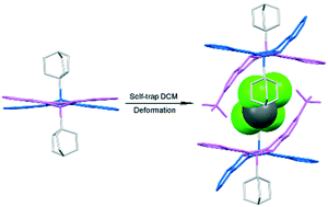 Graphical abstract: DCM self-trapping by the host deformation in flexible host–guest molecules